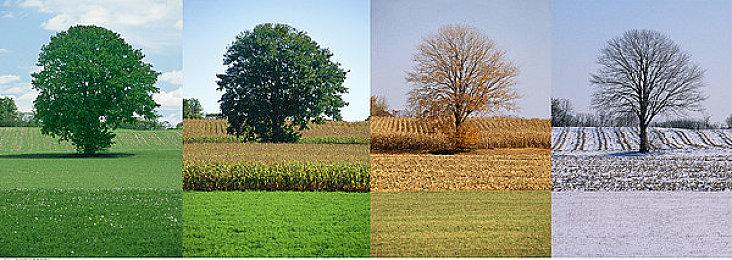 《天月麻雀》川麻玩法上线！新雀士、新赛季展开狩猎之旅
