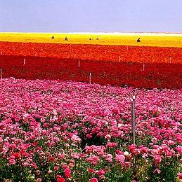 《DJMAX致敬V》NEXON DLC宣传片 致敬你的童年